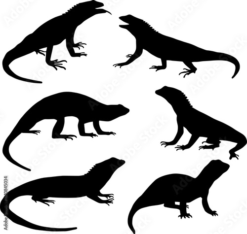 Iguana Silhouette Set, Wild Lizard and Reptile Poses, Tropical Animal Vector Icons