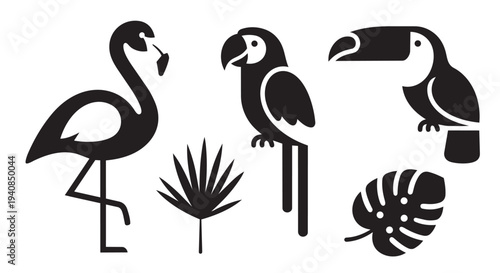Tropical birds and plants vector illustration set with flamingo and toucan designs