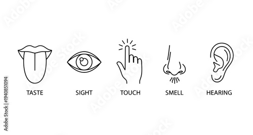 Sense icon set representing taste sight touch smell and hearing

