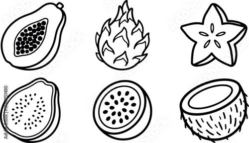 Line art vector set of six tropical fruit halves close up top view clean black outlines playful icon minimalist flat composition