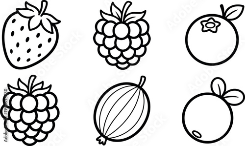 Minimalist line art fruit icon set close up six berries and citrus icons arranged in grid vector flat design black outline