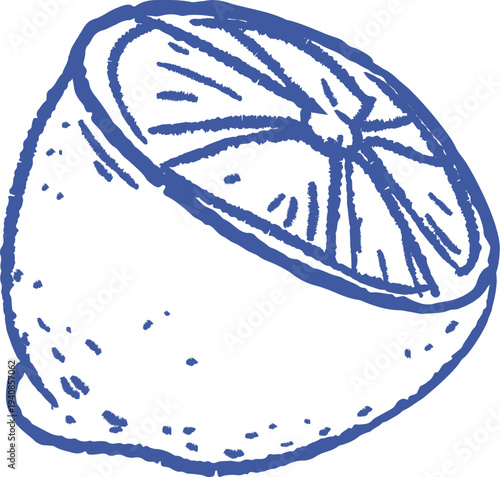 Lemon Half Engraved Sketch