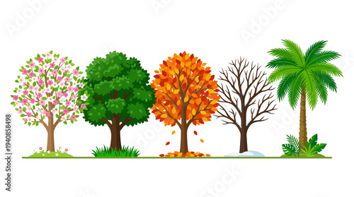 Vector illustration of seasonal trees in various environments viewed from the side
