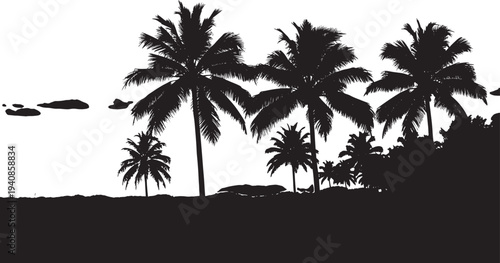 Dramatic Silhouette of Tropical Palm Trees on a Coastal Horizon in Black and White Monochrome Landscape