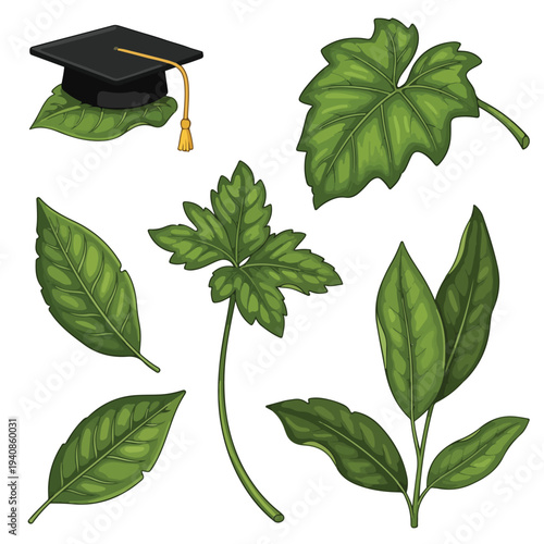 Green Leaves & Graduation Cap Illustration: Education, Growth & Botanical Study Concept