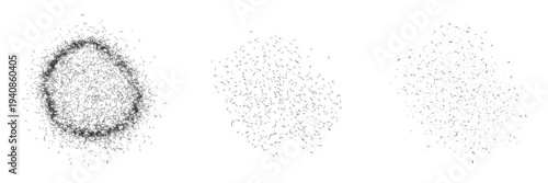 Fotografie Swarm of midges Chironomidae isolated on white background, tiny flying insects,