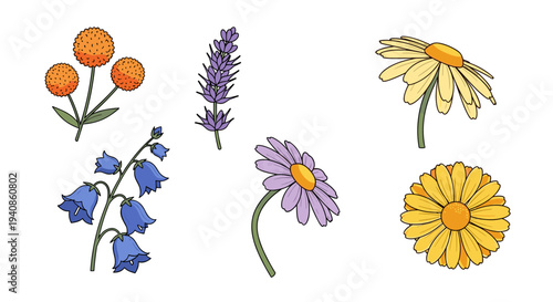A colorful collection of hand-drawn flowers featuring daisies, lavender, and bellflowers in a flat style