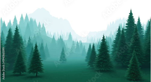 Misty Forest Landscape with Evergreen Trees.