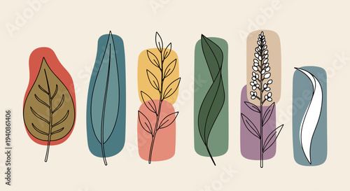 A collection of various leaves illustrated in a minimalist style, featuring soft colors and organic shapes