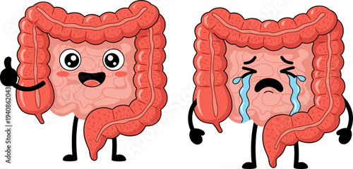 Cute intestine cartoon characters showing healthy and sick digestive system concept, medical gut health illustration isolated on white background