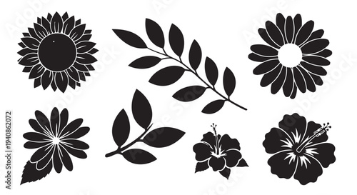 Black silhouette vector illustration set of various flowers and leaves for design projects easily editable