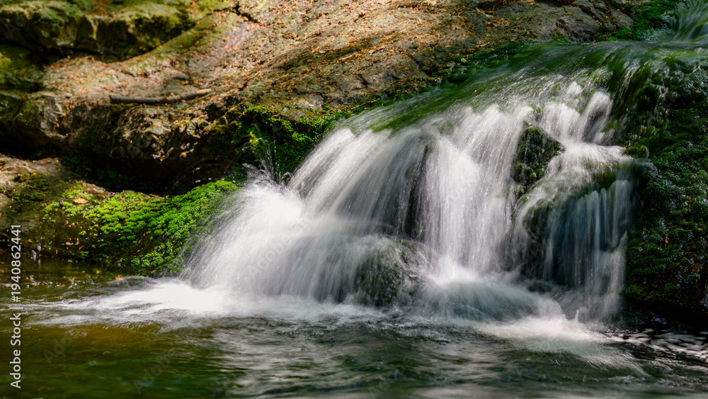 Fototapeta premium Forest waterfall cascades over mossy rocks.