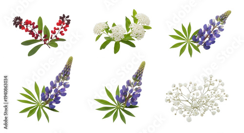 colorful floral bouquet png vibrant flower bouquet png botanical flowers png transparent background image