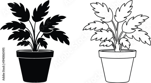 Black and white potted plants illustration Vector