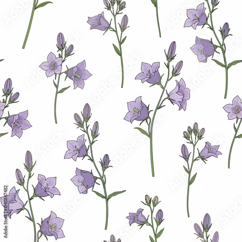 Delicate Bluebell Flower Pattern on White seamless