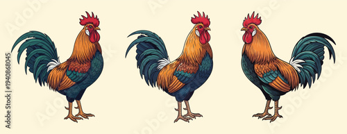 Three cartoon roosters standing in a row.