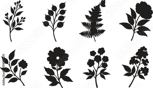 Illustration of set of black botanical silhouettes of flowers and leaves