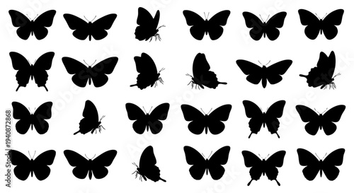 Collection of Diverse Butterfly Silhouettes in Various Poses.