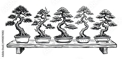 Collection of five detailed bonsai trees in shallow pots on a wooden shelf. Black and white vector illustration for interior design.