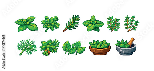 Herb, spice flat icon set. fresh, aromatic herbs icons for culinary use.