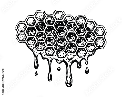 Honeycomb with Dripping Honey, Sketch Style Illustration. Hexagonal Honeycomb Structure with Sweet Honey Drops