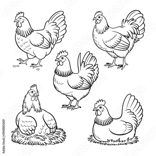 Hen and Rooster Farm Bird Illustration Set