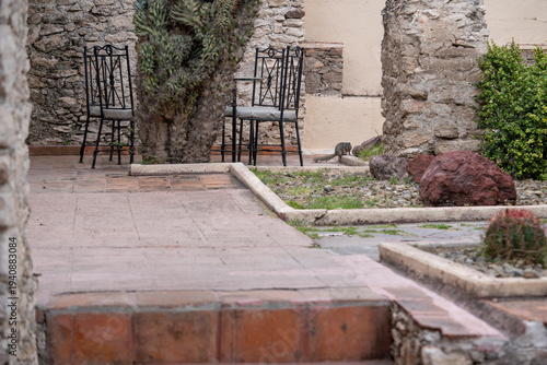 jardín seco con sillas y flora típica