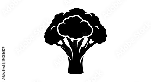 Vector illustration of broccoli vegetable silhouette icon on a transparent background