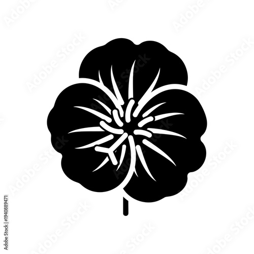 Black and white pansy flower isolated on white background minimalist art design