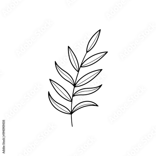 Hand drawing Leaf Vector