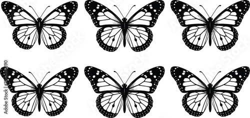 Butterfly silhouettes collection set, detailed flying butterflies isolated black insect nature vector illustration design