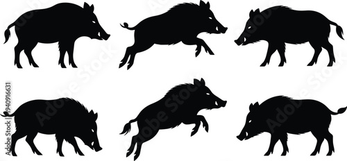 Wild boar silhouettes collection, running and standing boar animal poses isolated black wildlife vector illustration set