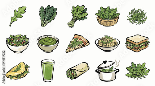 A vibrant collection of illustrations showcasing arugula in various culinary preparations and forms, from fresh leaves to prepared dishes.