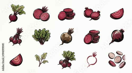 A collection of various illustrations of beets, showcasing whole beets, sliced beets, and beet greens.