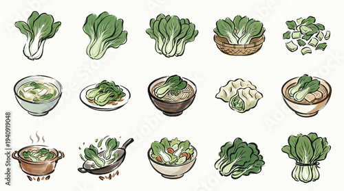 A vibrant collection of illustrations showcasing various forms of bok choy, from whole vegetables to prepared dishes, highlighting its versatility in culinary applications.