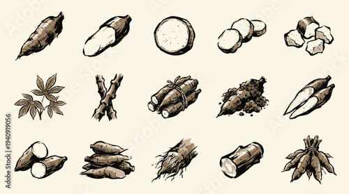 A detailed illustration showcasing various forms and preparations of cassava roots, leaves, and stems, highlighting its versatility as a food source.