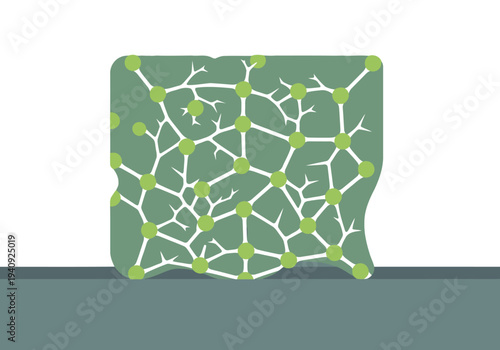 A stylized illustration depicts spinal repair using a scaffold matrix. It showcases a complex, branching network with green elements on a muted teal background.  Ideal for medical or science visuals.