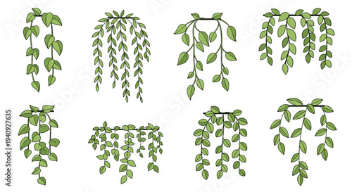 Eight distinct illustrations of green hanging vines, each with unique leaf shapes and arrangements, are neatly organized on a pristine white background.