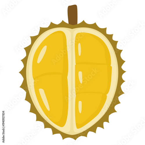 durian illustration