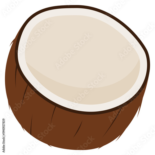 illustration of coconut