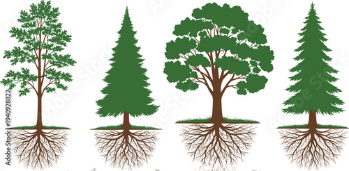 Collection of four distinct green trees with detailed root systems visible underground, isolated on a clean white background, perfect for environmental and nature-themed designs.