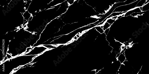 Ebony Veins: A striking, high-contrast image showcasing the intricate, natural patterns of a marble slab. The dark surface is elegantly veined with striking white lines.
