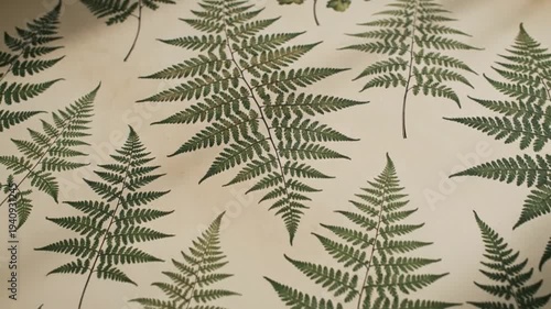A collection of fern leaves arranged in a pattern on a fabric