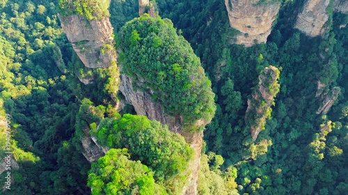 Majestic sandstone pillars and lush green forest in Zhangjiajie National Forest Park, Hunan, China.