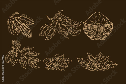 Golden cocoa vector sketch set. Cacao powder, beans, branches and compostions for food chocolate and spicy design. Hand drawn vector illustration in engraving ink style. Linear sketch of cacao.