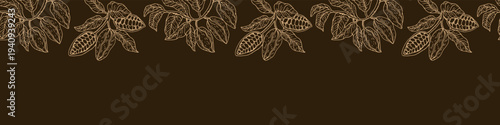 Seamless cocoa beans border background with cacao fruit and leafy branches. Tropical organic chocolate illustration for dessert packaging, chocolate bars, labels and background design.