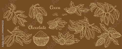 Cocoa pods set in sketch style. Ink engraving cacao fruits, plants and branches on brown background. For milk chocolate food background, cocoa powder packaging design.
