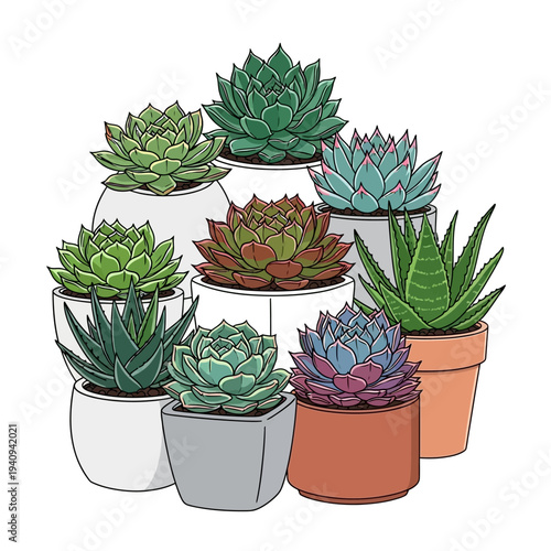 An illustration of a diverse collection of potted succulent plants with various colors and shapes, arranged together.