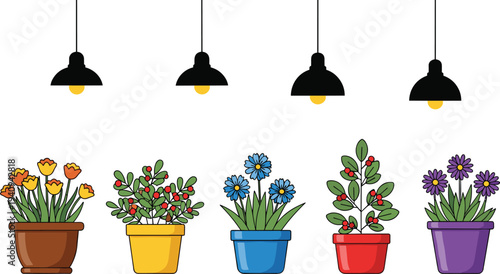 Colorful potted flowers and plants under hanging lamps, cute indoor garden illustration with decorative pots and blooming flowers, vector home decor design collection