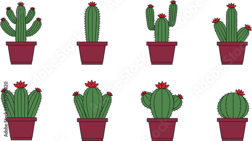 Cute cactus plant collection in flower pots with blooming desert succulents cartoon style botanical vector illustration set isolated on light background
